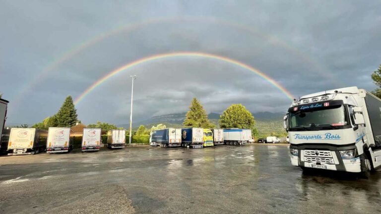 Camion transports bois